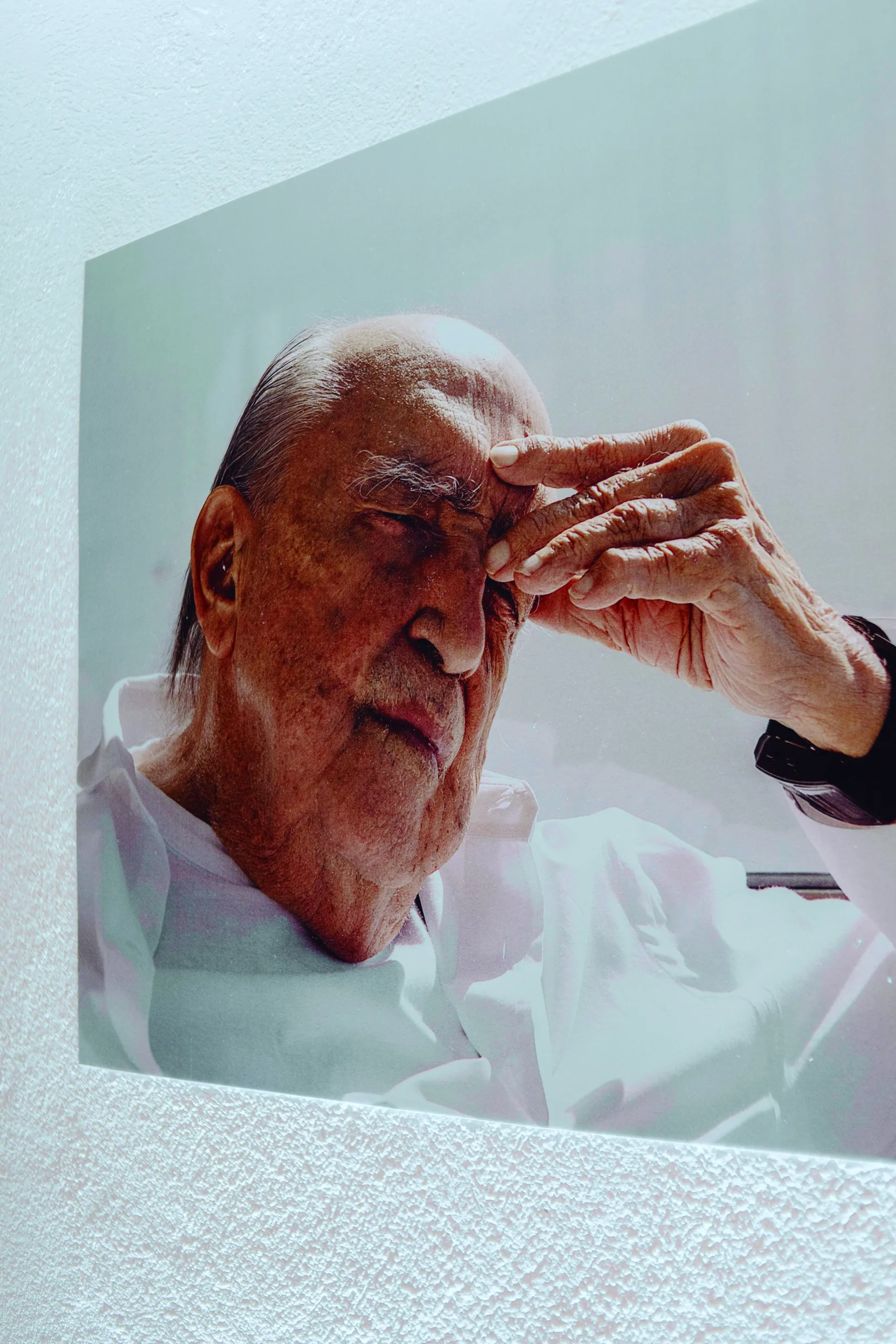Oscar Niemeyer em retrato — arquiteto brasileiro, ícone da arquitetura modernista