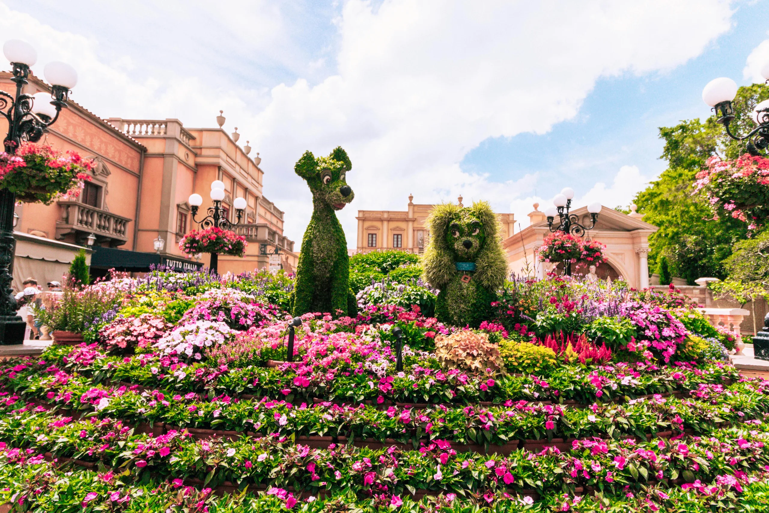 Orlando é superverde, com 258 m² de áreas arborizadas por pessoa. Crédito: Pexels.