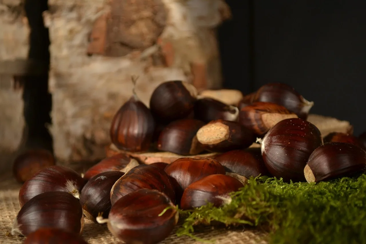 Receitas com Castanhas